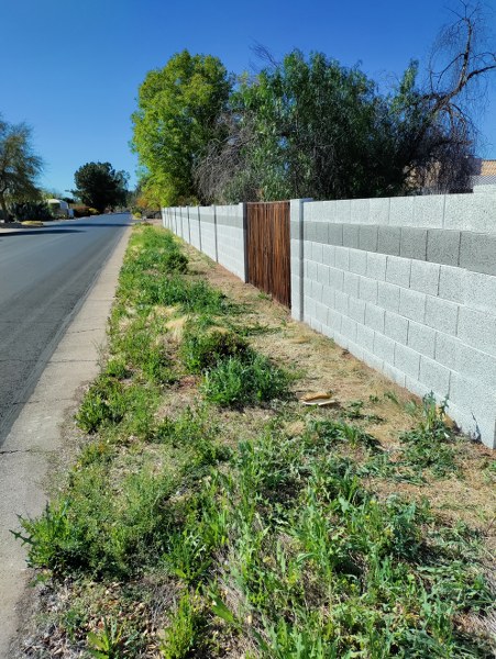 Wall after paint